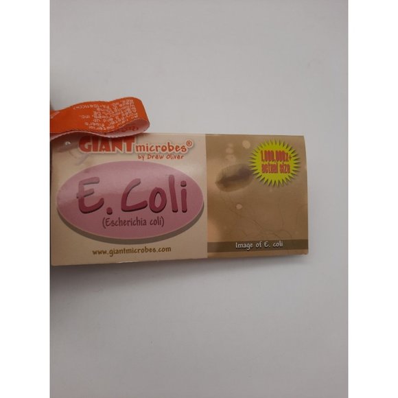 E COLI Giant Microbes Plush By Drew Oliver Medical w/Facts Card 2005 NWT 7" Wide - Picture 2 of 9